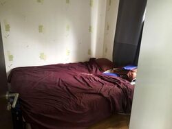 16 @ Amber (D15), Apartment #497958691